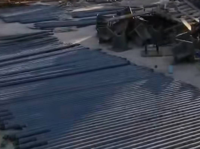 ������ɽ�����������߼���ѧʳ����˨�������������